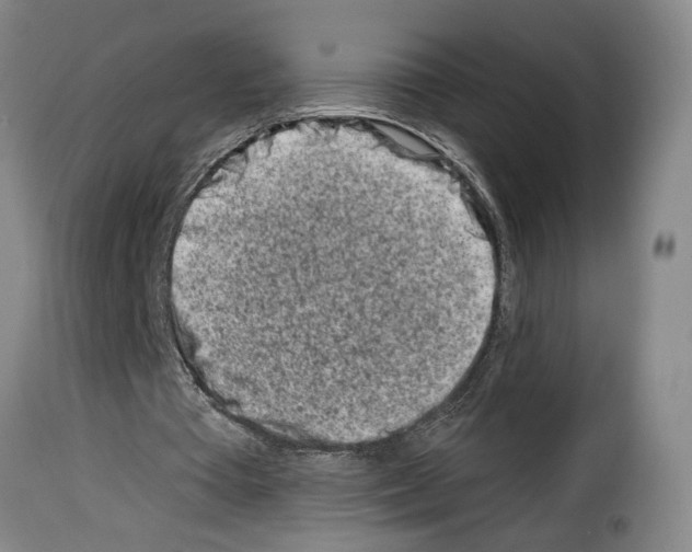 X0000114210385200911201027