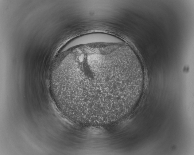 X0000114210386200911201027