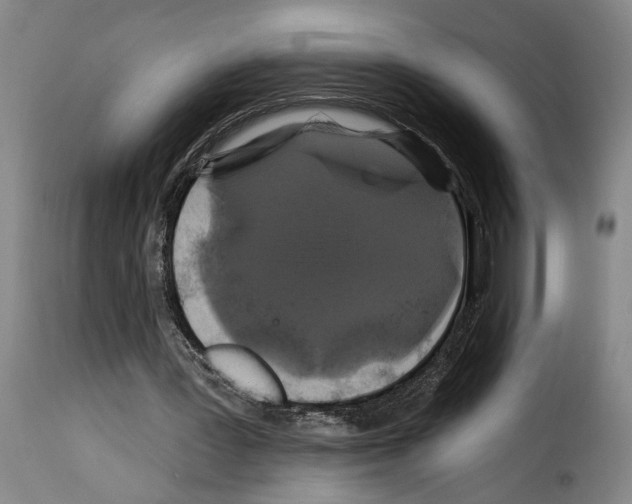 X0000114210387200911201027