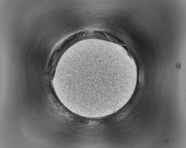 X0000114210388200911201027