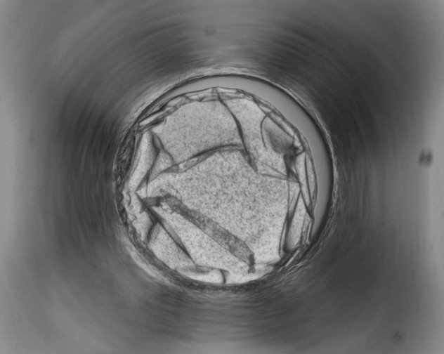 X0000114210389200911201027