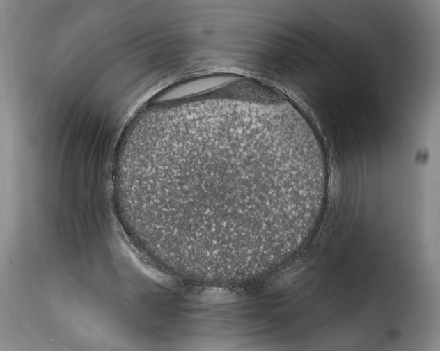X0000114210390200911201027