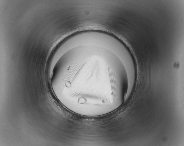 X0000114210391200911201027