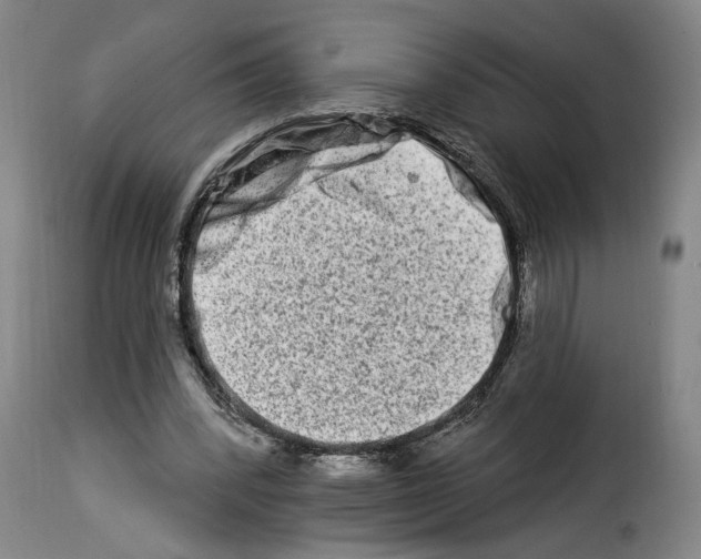 X0000114210392200911201027