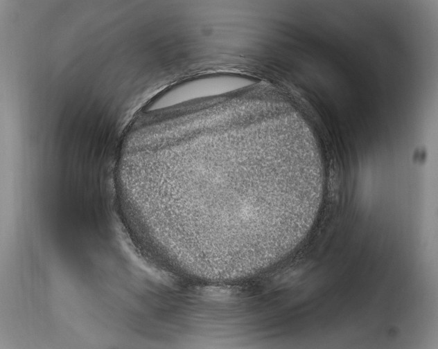 X0000114210394200911201027