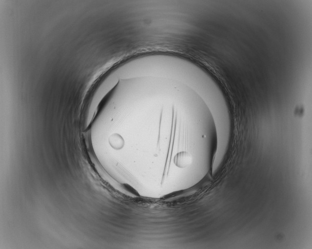 X0000114210395200911201027