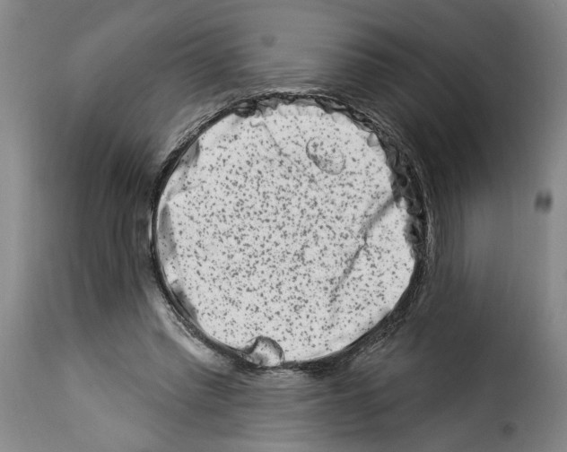 X0000114210397200911201027
