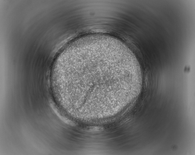 X0000114210398200911201027