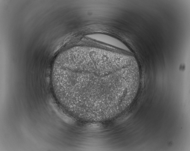 X0000114210402200911201027