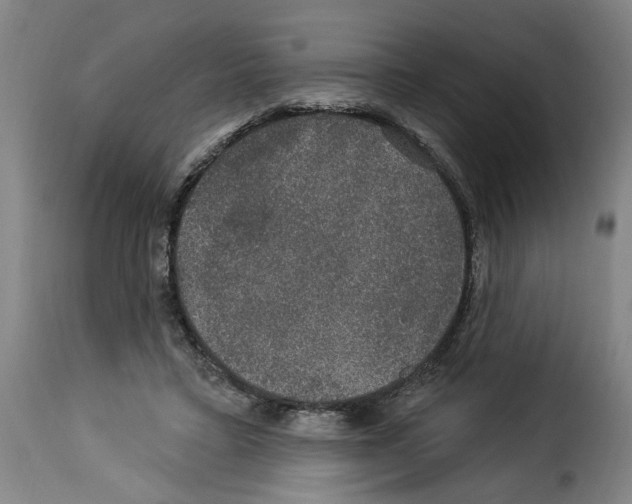 X0000114210403200911201027