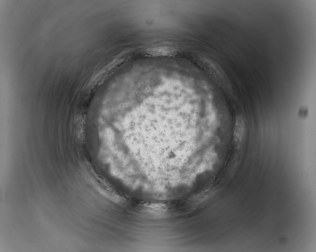 X0000114210409200911201027