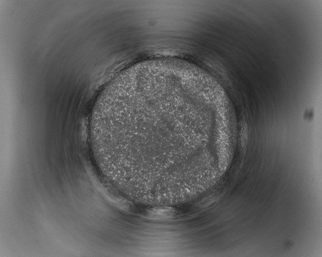 X0000114210410200911201027