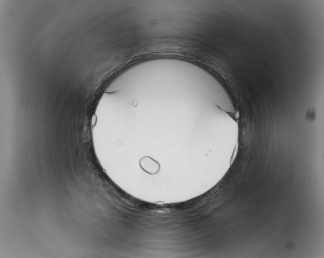 X0000114210411200911201027