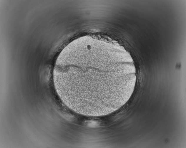 X0000114210412200911201027