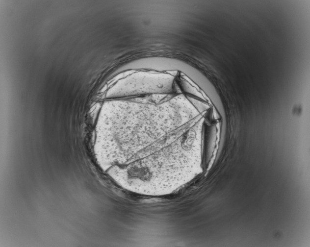 X0000114210417200911201027
