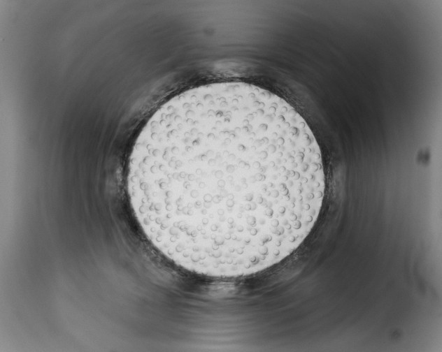 X0000114210418200911201027