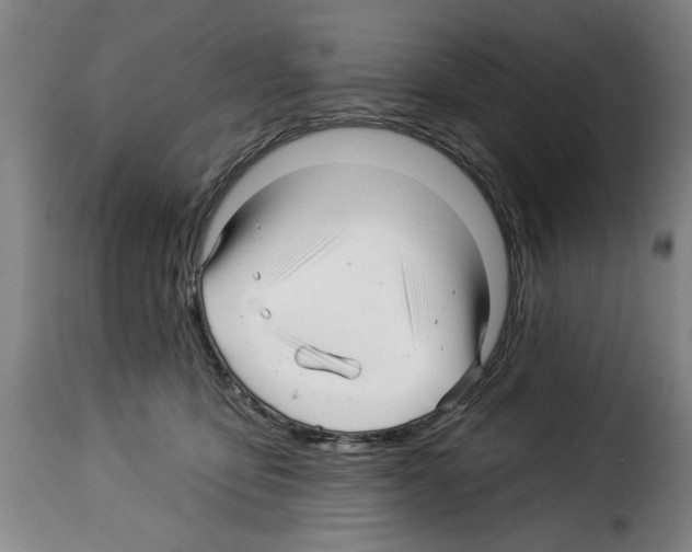 X0000114210419200911201027