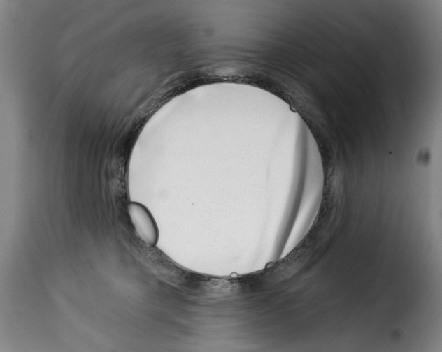X0000114210421200911201027