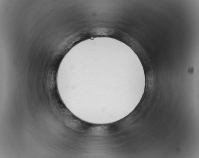 X0000114210422200911201027