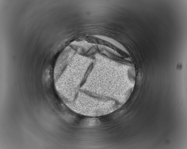 X0000114210424200911201027
