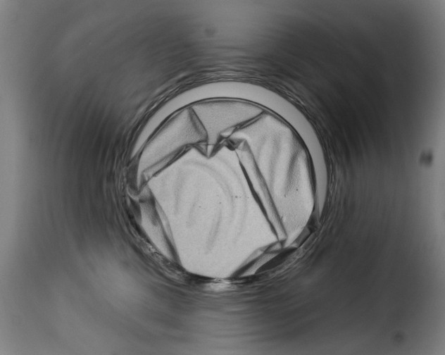X0000114210425200911201027