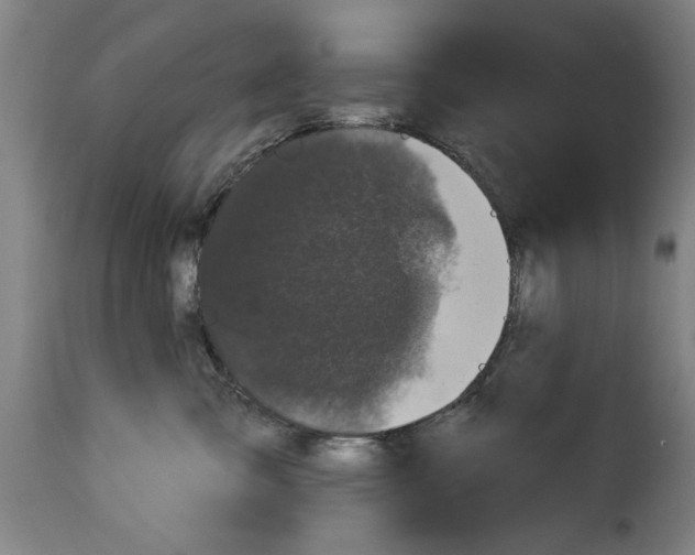 X0000114210427200911201027
