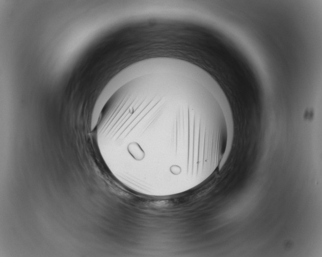 X0000114210431200911201027