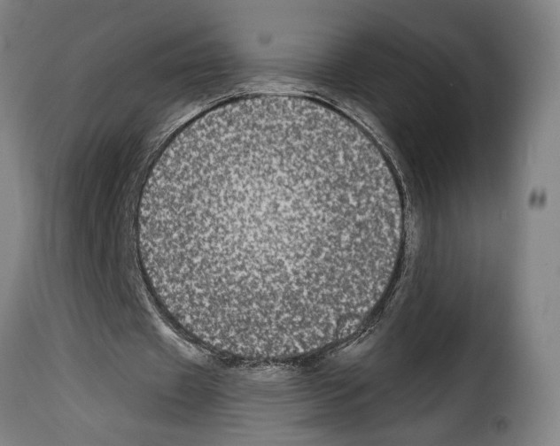 X0000114210433200911201026