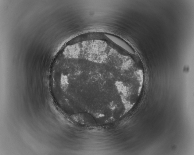 X0000114210434200911201026