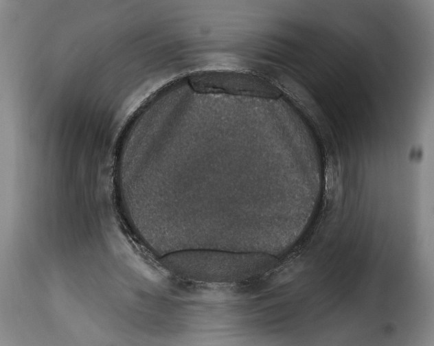 X0000114210436200911201026