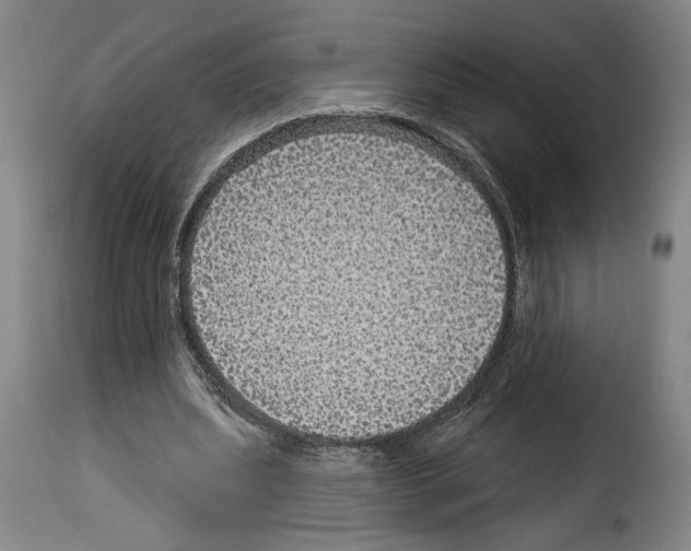 X0000114210439200911201026