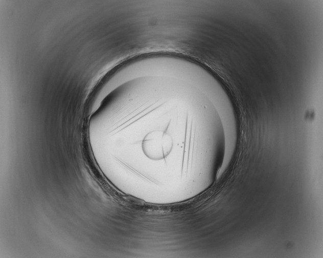 X0000114210440200911201026