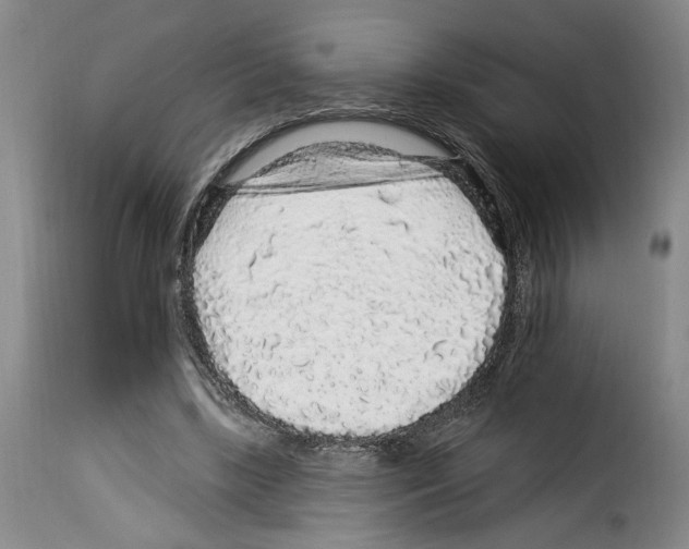 X0000114210443200911201026