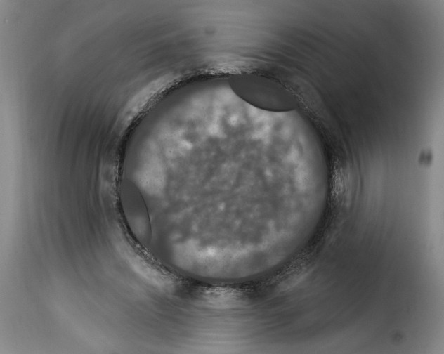 X0000114210444200911201026