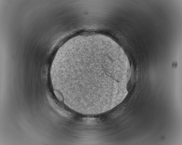 X0000114210448200911201026