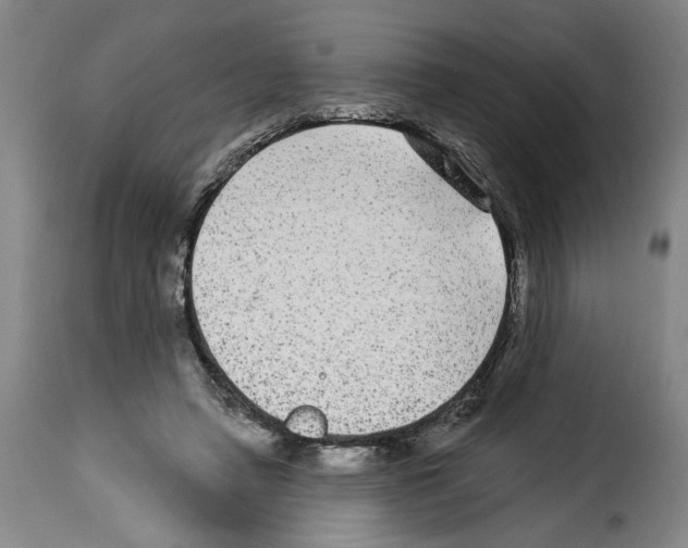 X0000114210450200911201026