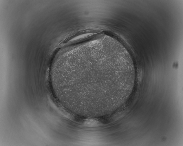 X0000114210451200911201026