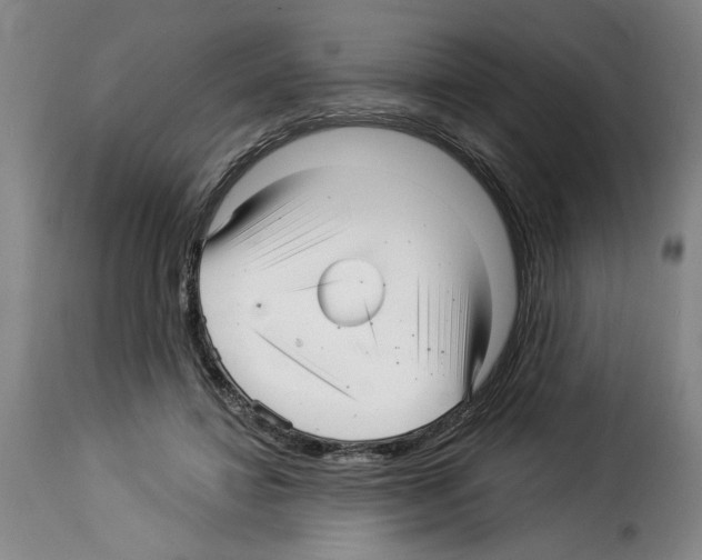 X0000114210452200911201026