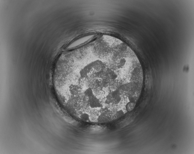 X0000114210453200911201026