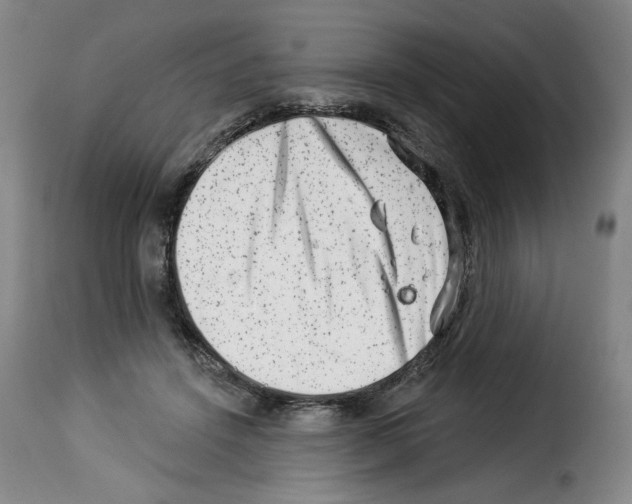 X0000114210456200911201026