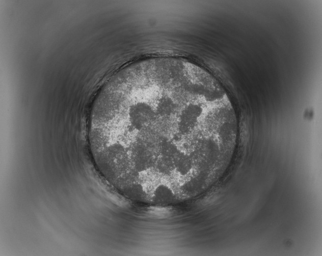 X0000114210457200911201026