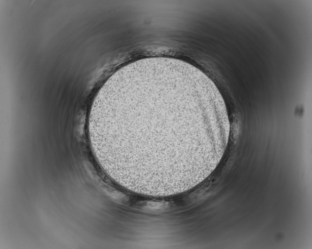 X0000114210458200911201026