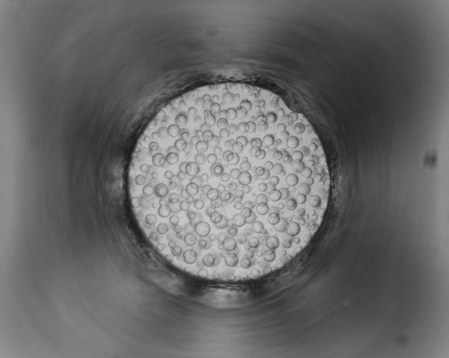 X0000114210466200911201027