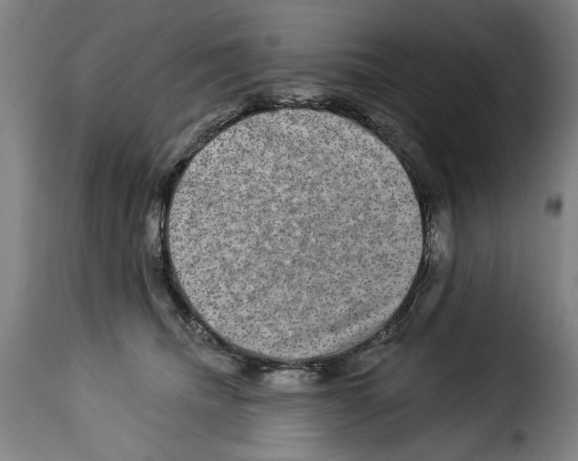 X0000114210468200911201027