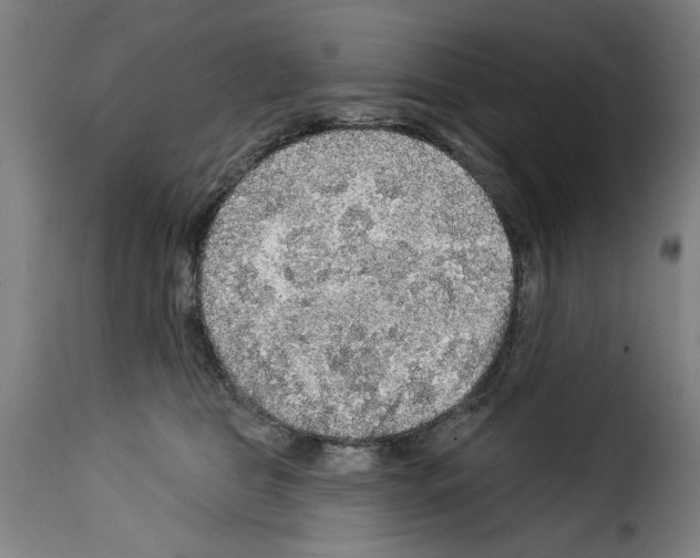 X0000114210469200911201027
