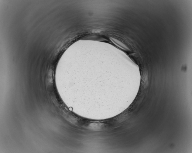 X0000114210470200911201027