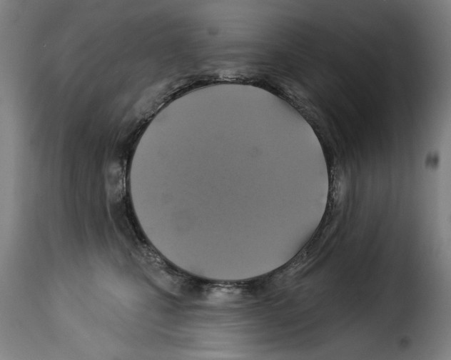 X0000114210471200911201027