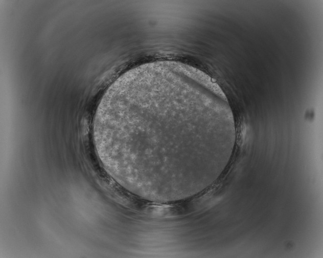 X0000114210472200911201027