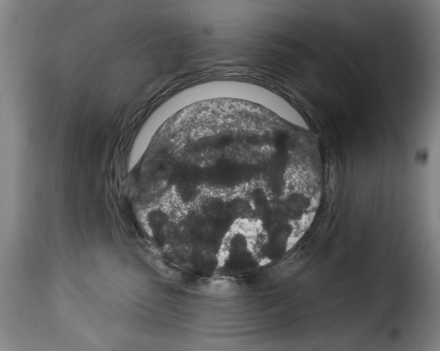X0000114210475200911201027