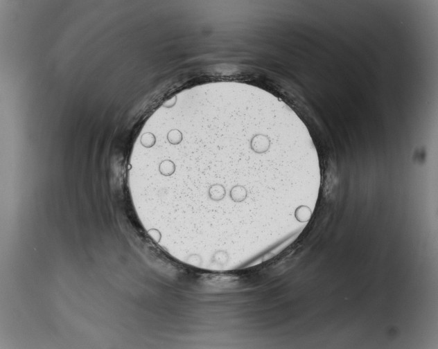 X0000114210476200911201027
